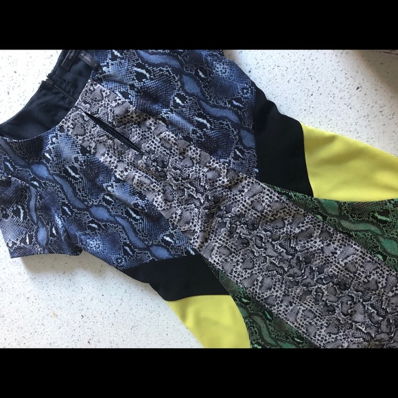 BCBG Snakeprint Colorblock Dress - Picture 2 of 4